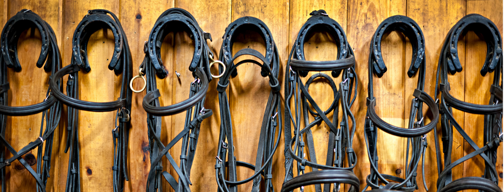 Stable Organisation Hacks: Tips for Streamlining Your Tack Room this Season 
