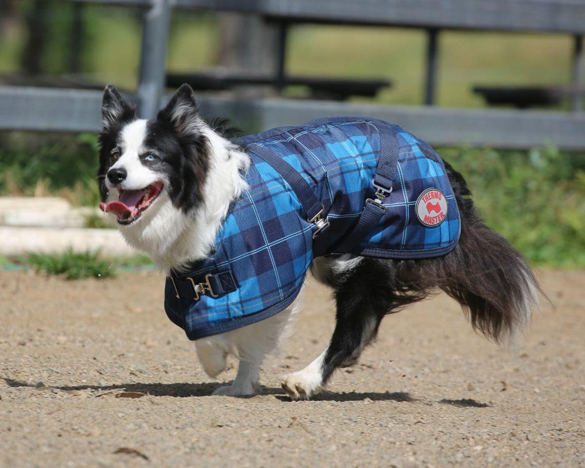 tartan dog coats australia