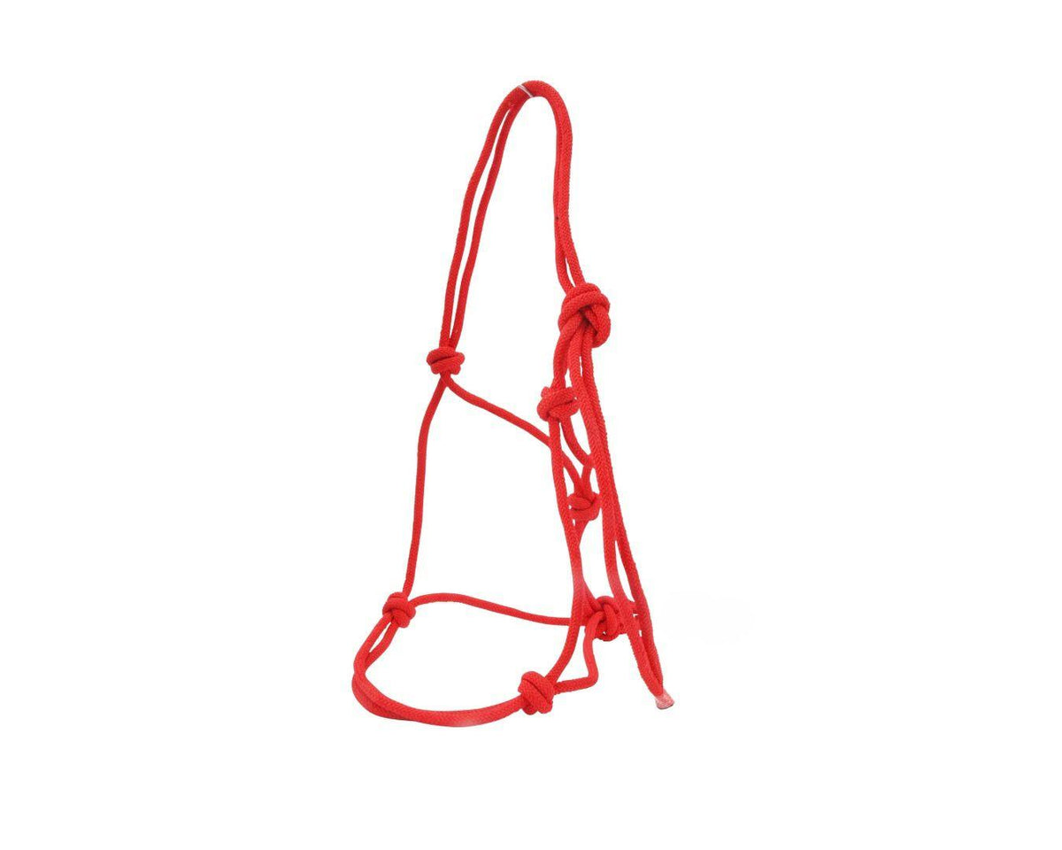 Happy Horse Knotted Rope Halter Horse Tack Outlet Greg Grant Saddlery