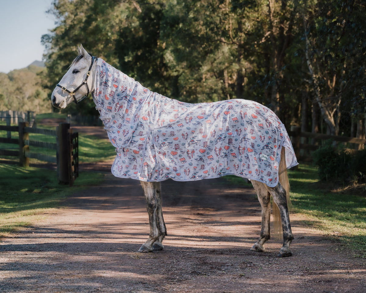 Bobby Fly Mesh Printed Combo - Punchy Western