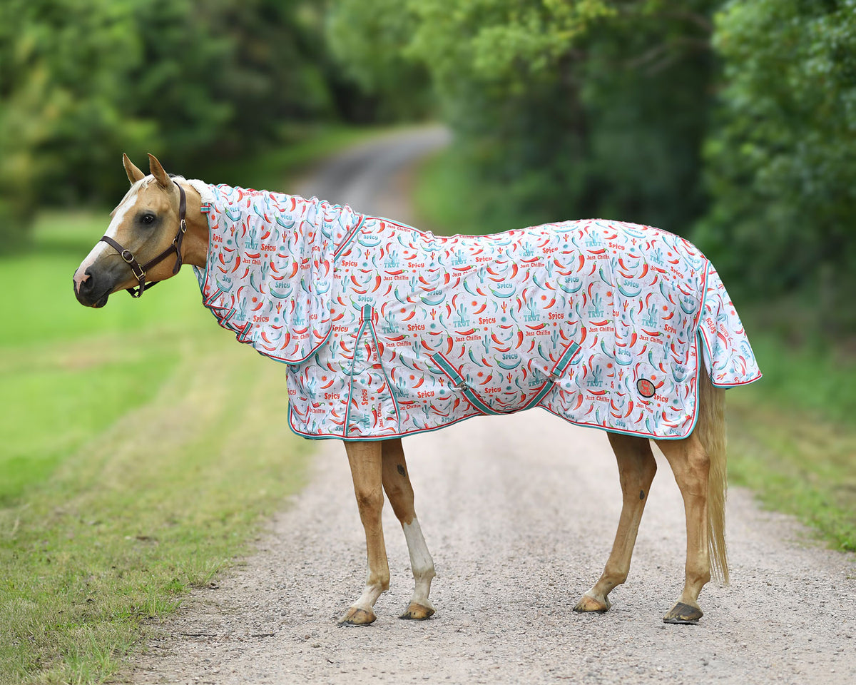 Kool Master Fly Mesh Combo w/Surcingles - Hot to Trot