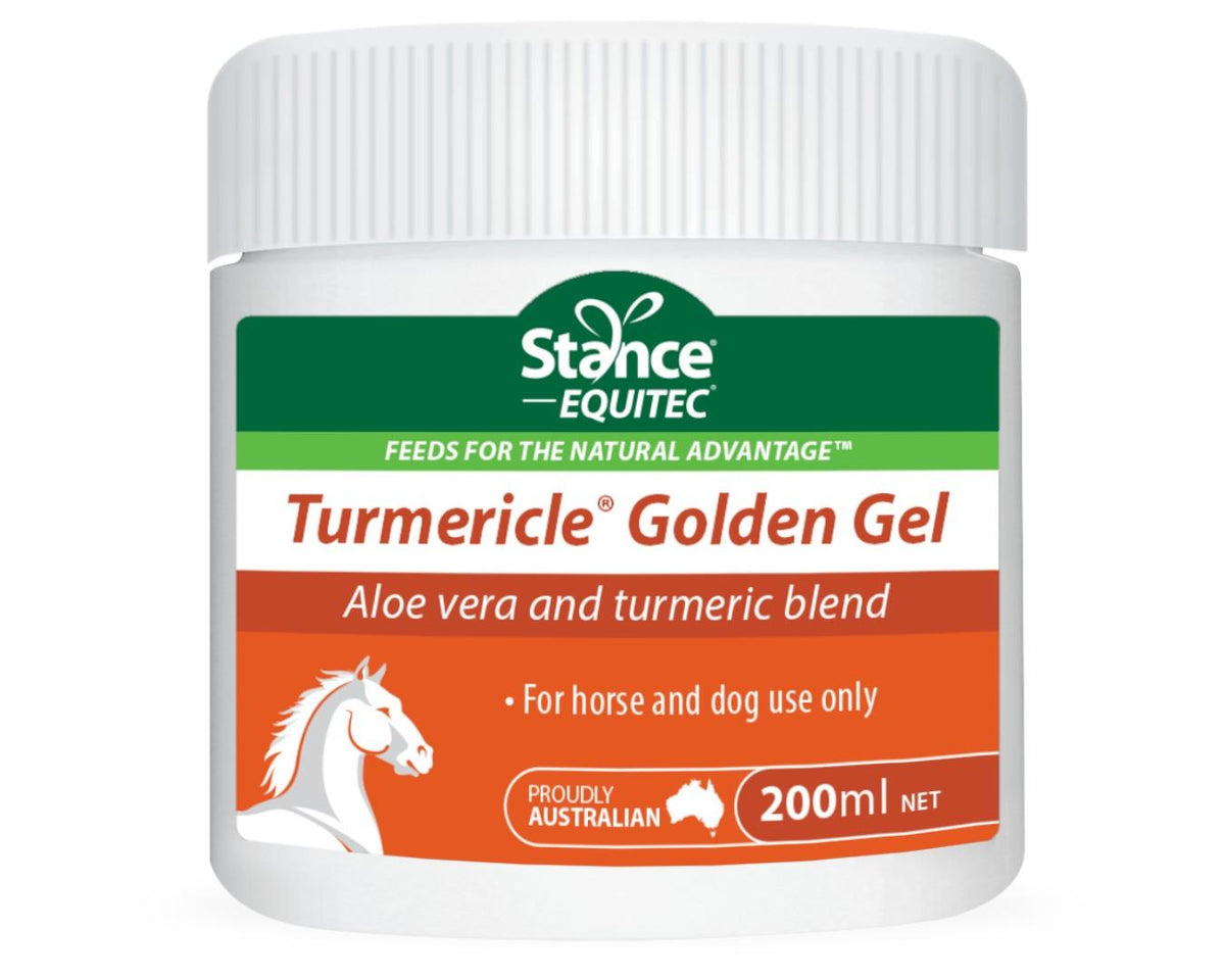 Equitec Turmericle Golden Gel main image 1