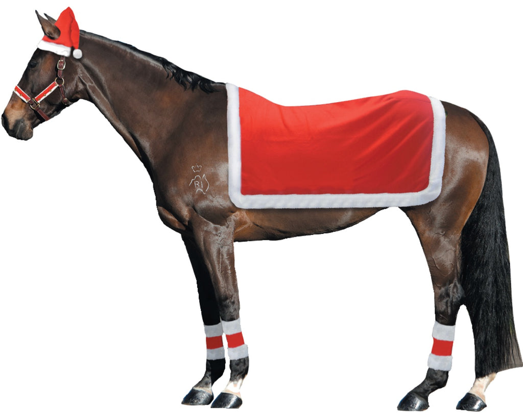 Get your horse into the holiday spirit with the STC Christmas Horse Riding Set from Greg Grant Saddlery. This festive set includes a Santa Hat, Quarter Sheet, Leg Wraps, and a 3 Piece Bridle Set.