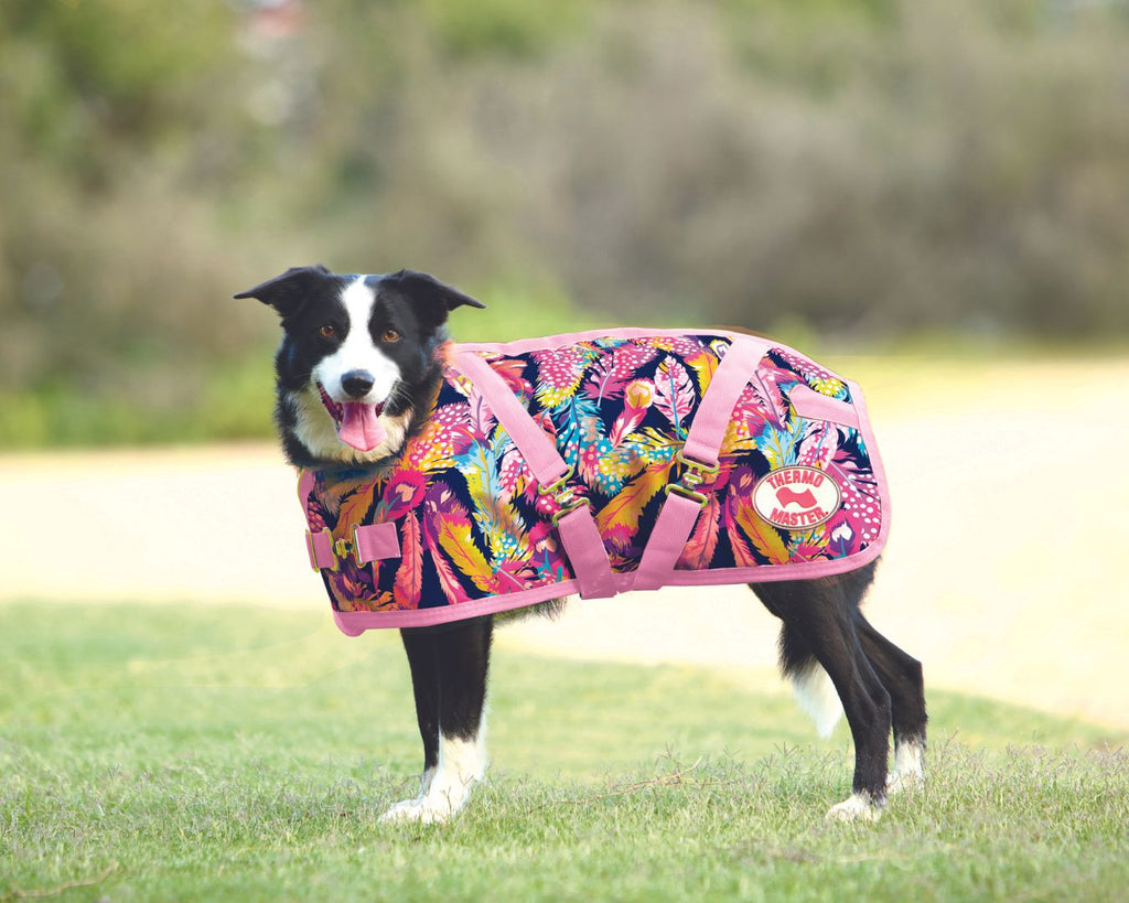 Thermo Master Supreme Dog Coat - Feathers