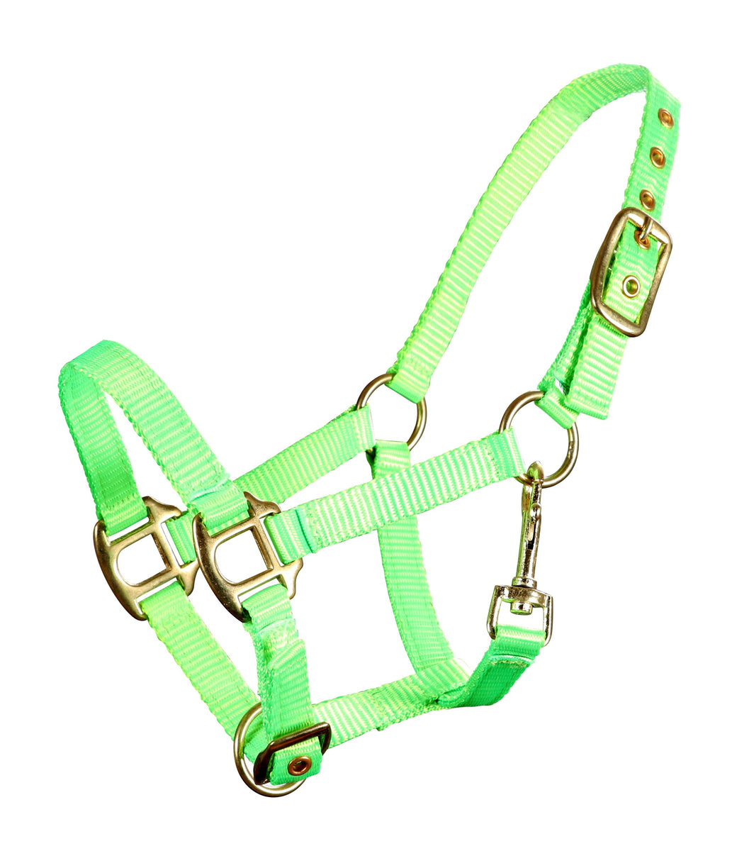 Piccolo Premium Mini Horse Nylon Halter Greg Grant Saddlery