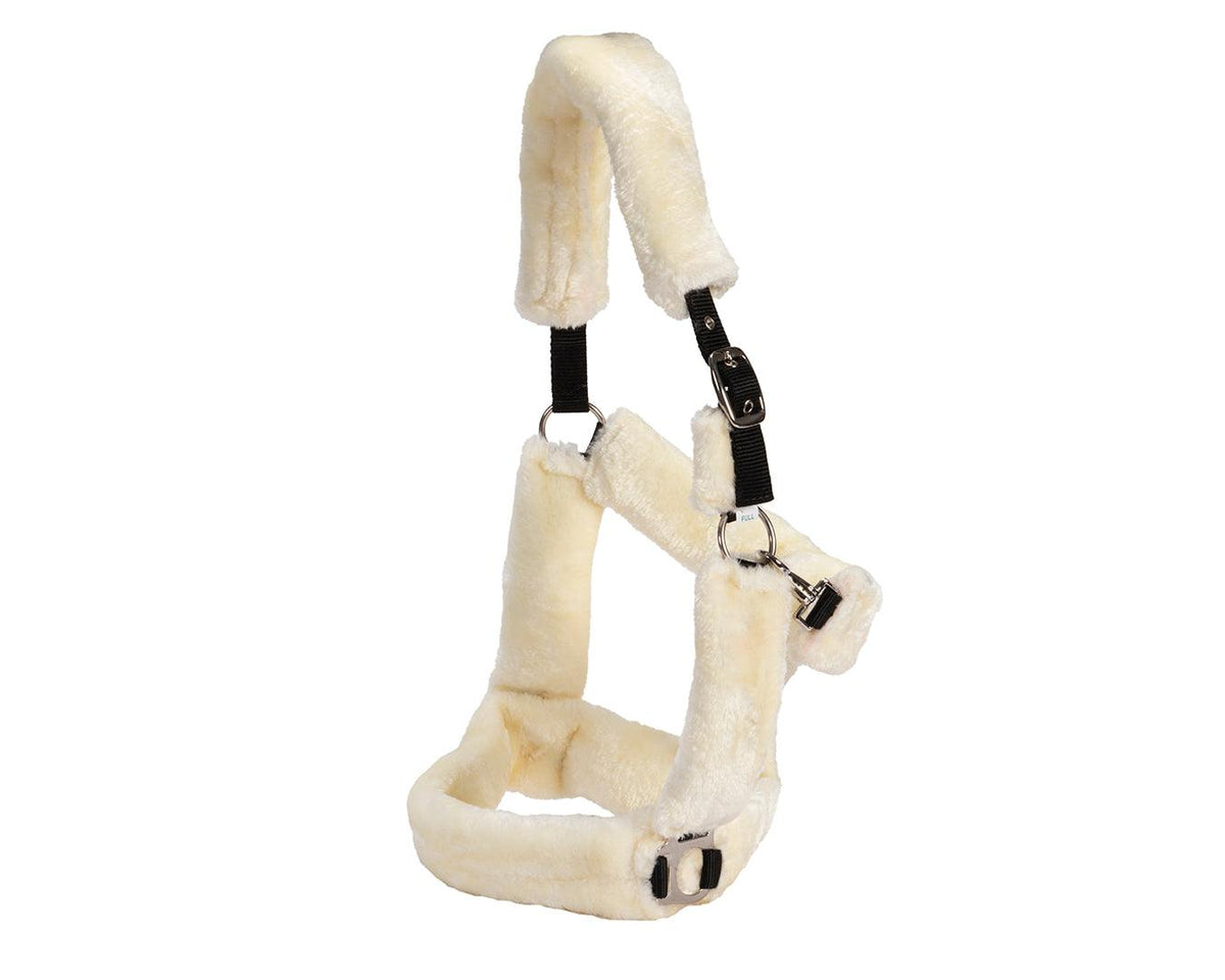 Rancher Halter With Fleece Cover Set Halters & Lead Ropes Greg