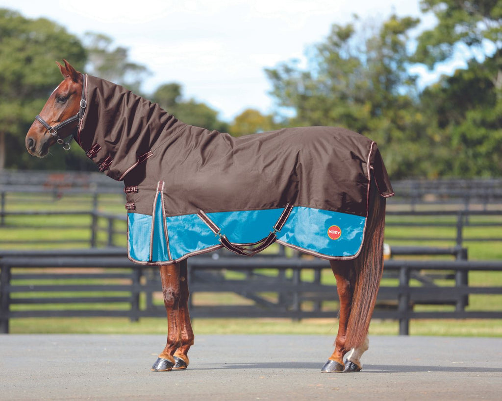 Kozy 1200D Ripstop Horse Rug Combo With 200g Fill - Chocolate & Turquoise