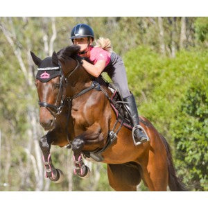 Staying Safe At Horse Events