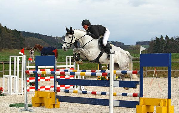 Ear Bonnets - Does Your Horse Need Them?