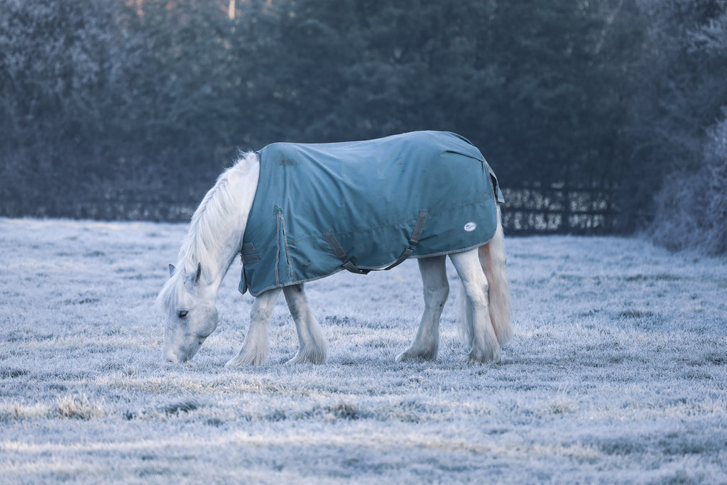 Beat The Chill - Keeping Warm While Horse Riding This Winter