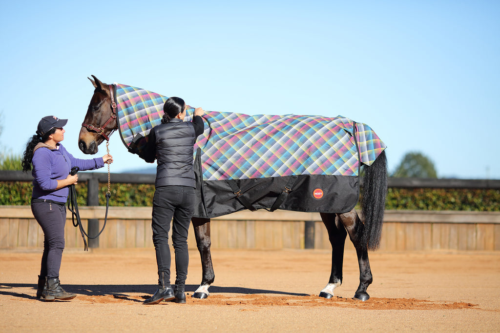 Caring For Your Horse's Rugs