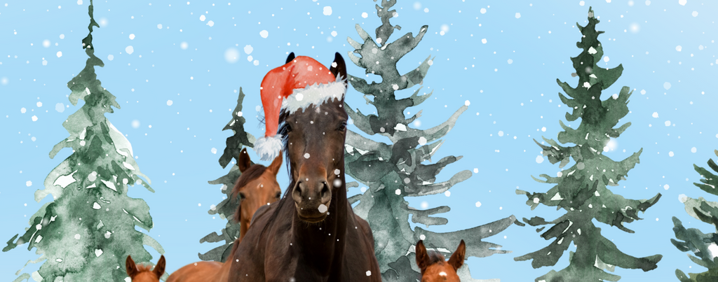 Top Gift Ideas for Horse Lovers: Christmas Edition 