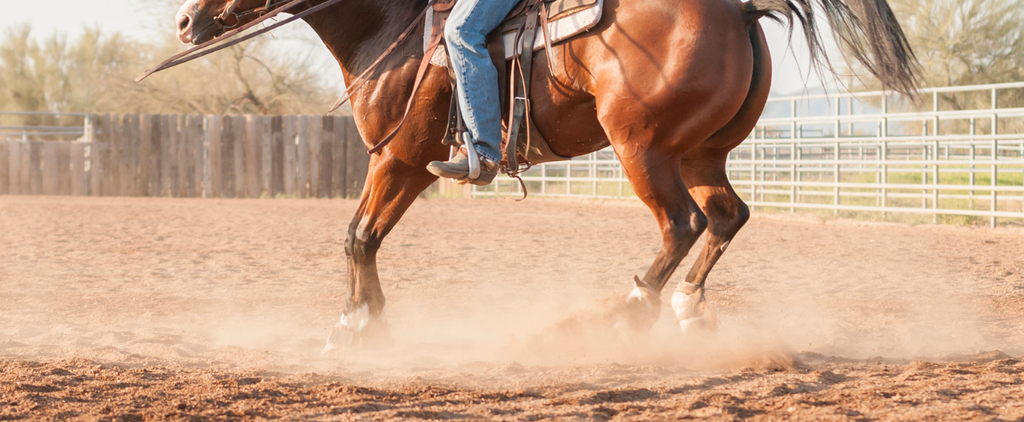 Explore an Action Packed Event at the Australian Reining Breeders Classic 2024!