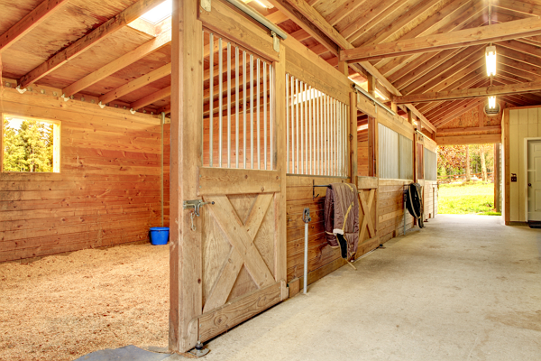 3 Stable Hacks To Make Stall Cleaning So Much Easier