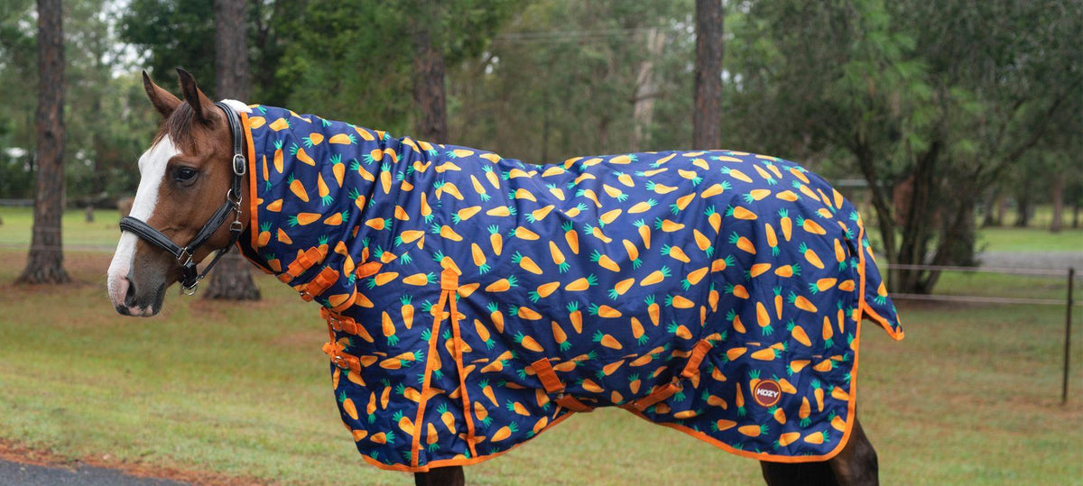 When to Start Rugging Your Horse to Slow the Growth of the Winter Coat ...