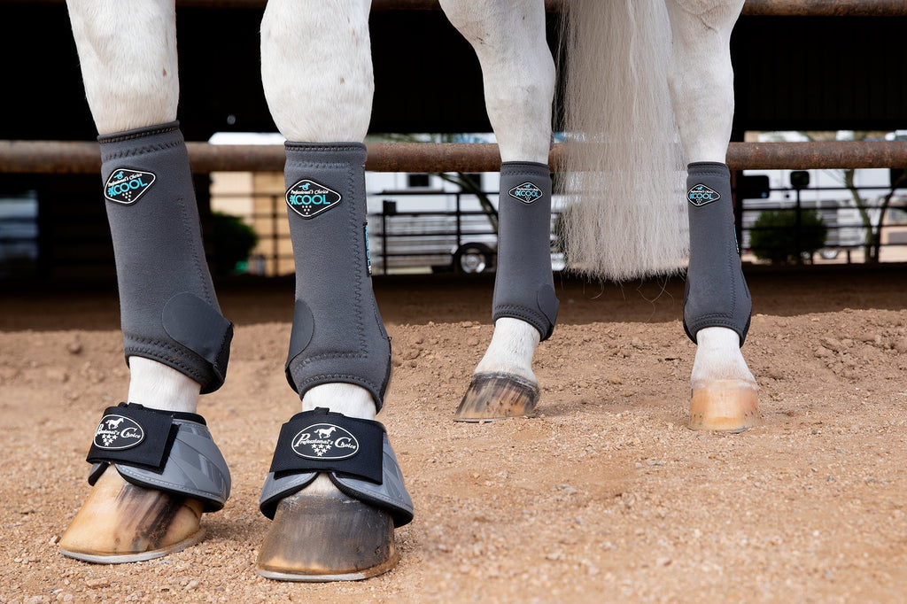 The Benefits of Ice Boots for Horses and Their Use in Post-Training Recovery