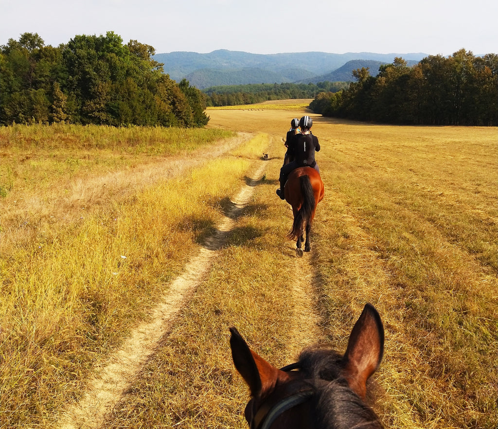 10 Essentials to Take on a Trail Ride