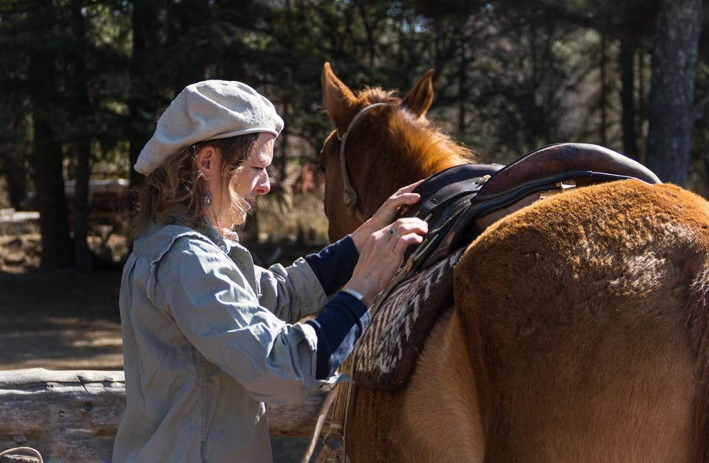 Beginner's Guide to Owning a Horse: Must-Have Items