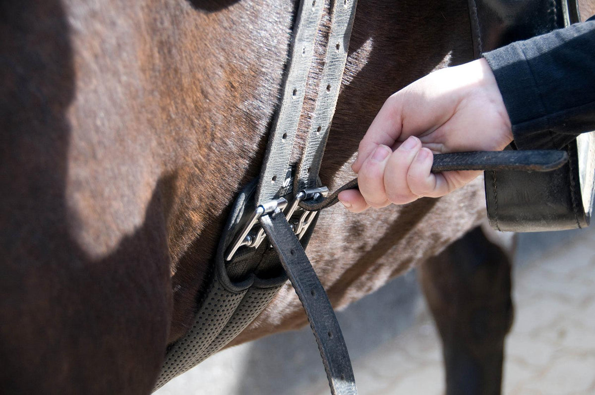 Cinches Horse Girths & Cinches - For Discipline | Greg Grant Saddlery