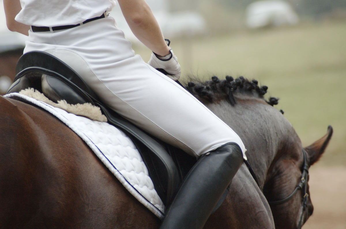 Horse Riding Jodhpurs & Breeches – Page 2 – Greg Grant Saddlery
