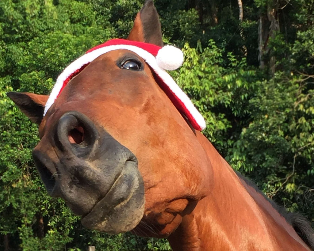 STC Christmas Horse Santa Hat - Red Santa hat with ear holes for horses. Spread holiday cheer with this adorable Christmas accessory.