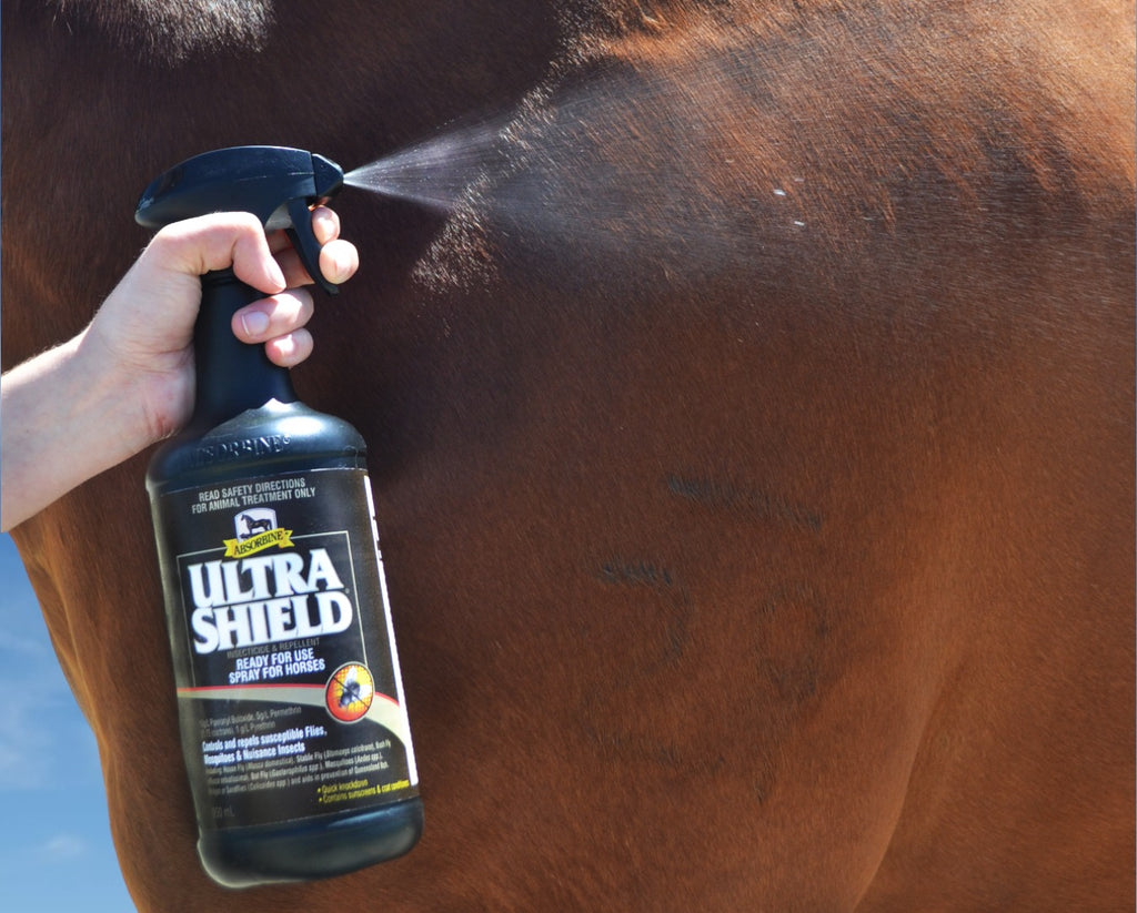 Absorbine UltraShield Equine Insect Repellent and Fly Spray for horses and ponies. Image shows a horse being sprayed with Absorbine UltraShield Insecticide & Repellent