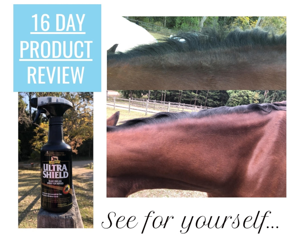 Absorbine UltraShield Insecticide & Repellent - Absorbine's most advanced fly and insect repellent for horses and ponies showing incredible 16 day review on rubbed mane and neck
