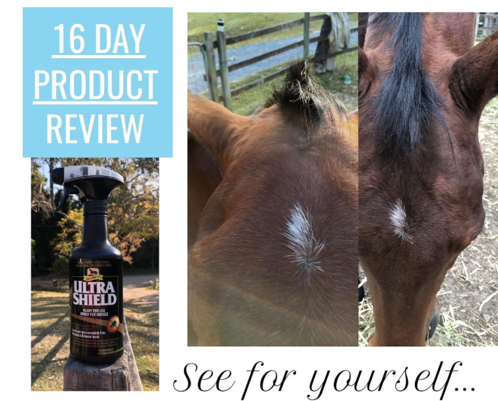 Absorbine UltraShield Insecticide & Repellent - Absorbine's most advanced fly and insect repellent for horses and ponies show remarkable 16 day product review on rubbed forelock 