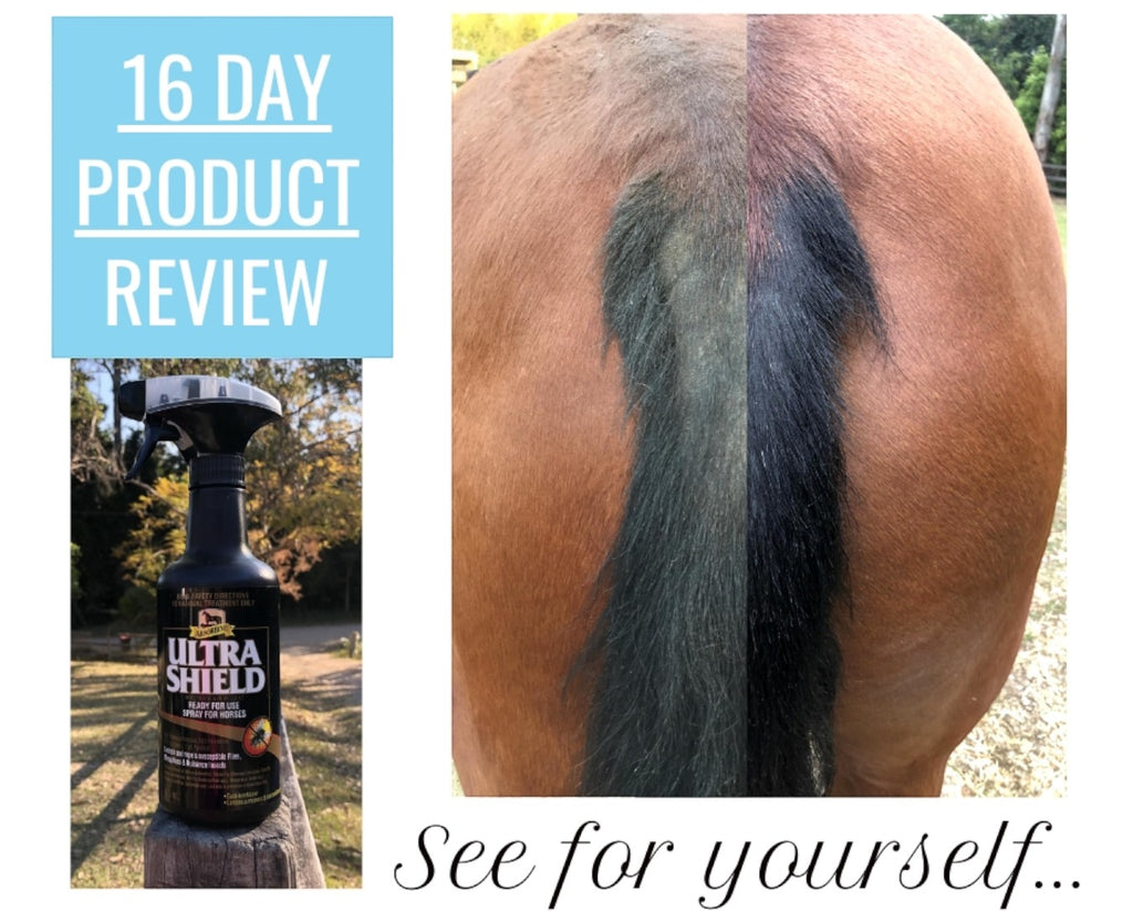 Absorbine UltraShield Insecticide & Repellent - Absorbine's most advanced fly and insect repellent for horses and ponies showing impressive 16 day product review on rubbed tail