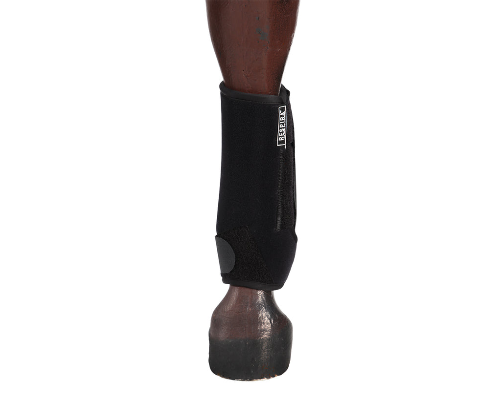 Front of Acavallo Respira Neoprene Hind Boot for horses