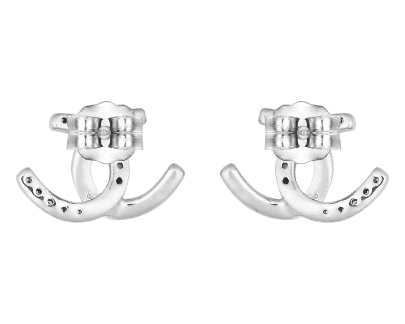 Montana Silversmiths Horseshoe Happiness Post Earrings – Greg