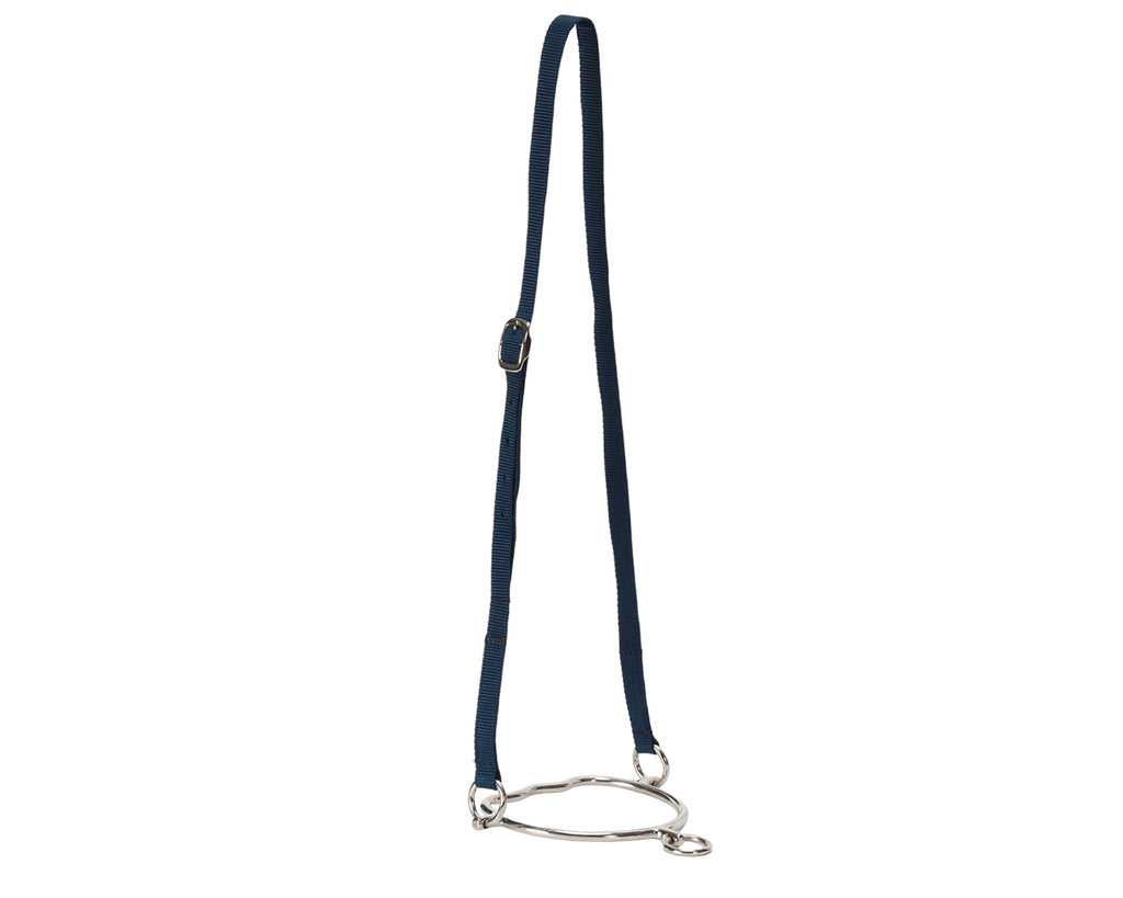 Anti-Rear Bit with Nylon Straps for extra control when leading horses