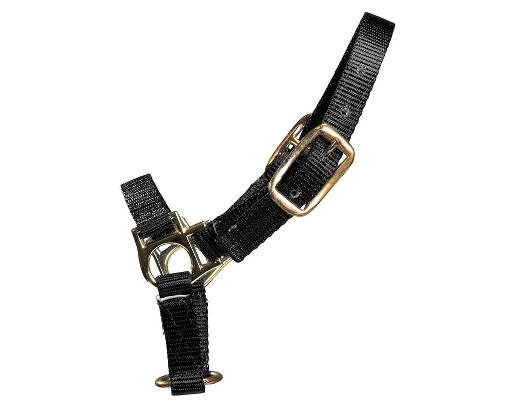 STC Sheep Halter