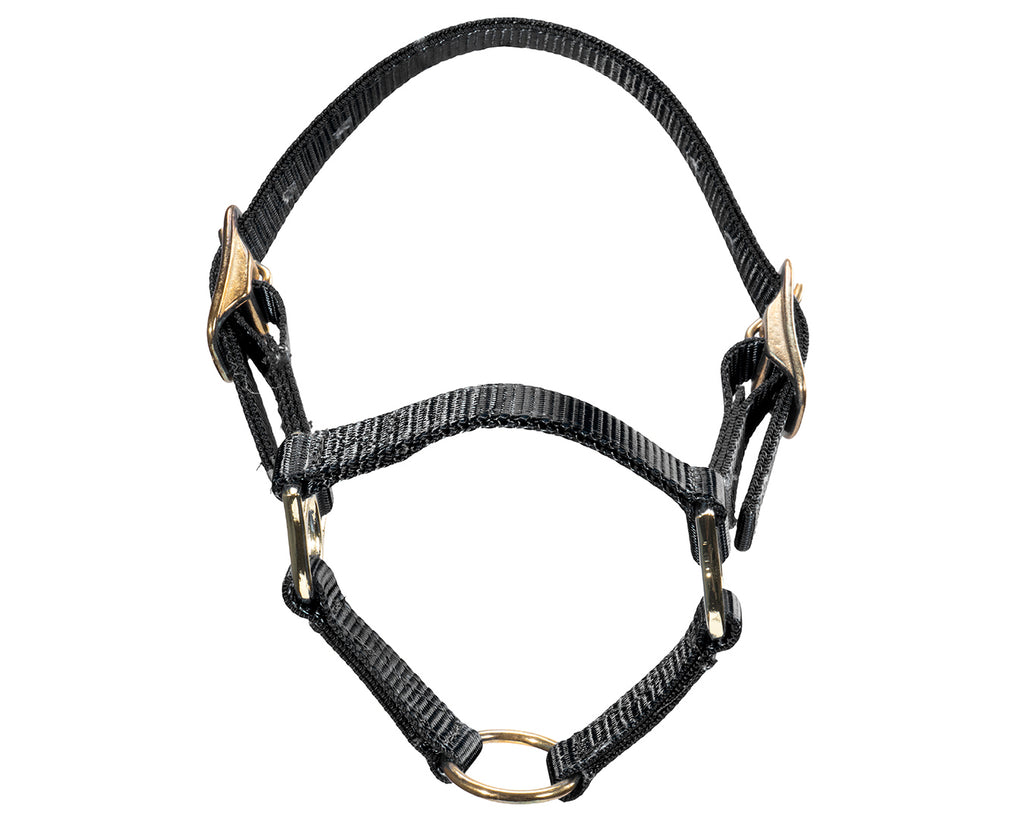 STC Sheep Halter