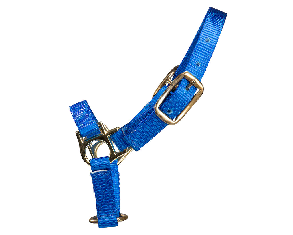 STC Sheep Halter