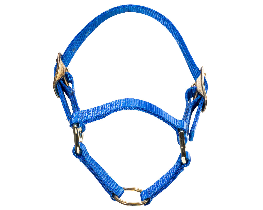 STC Sheep Halter