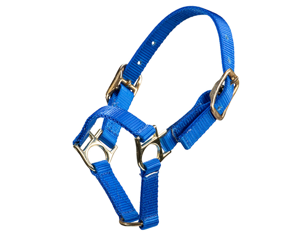 STC Sheep Halter