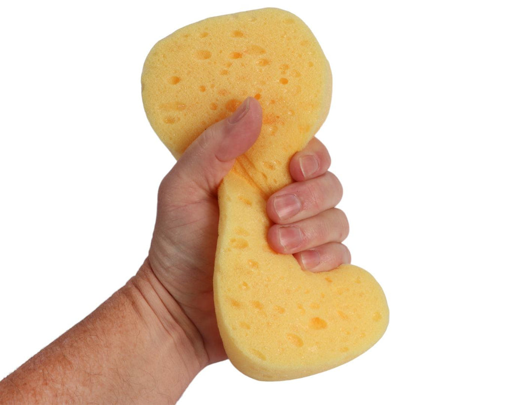 Carr & Day & Martin Horse Care Sponge