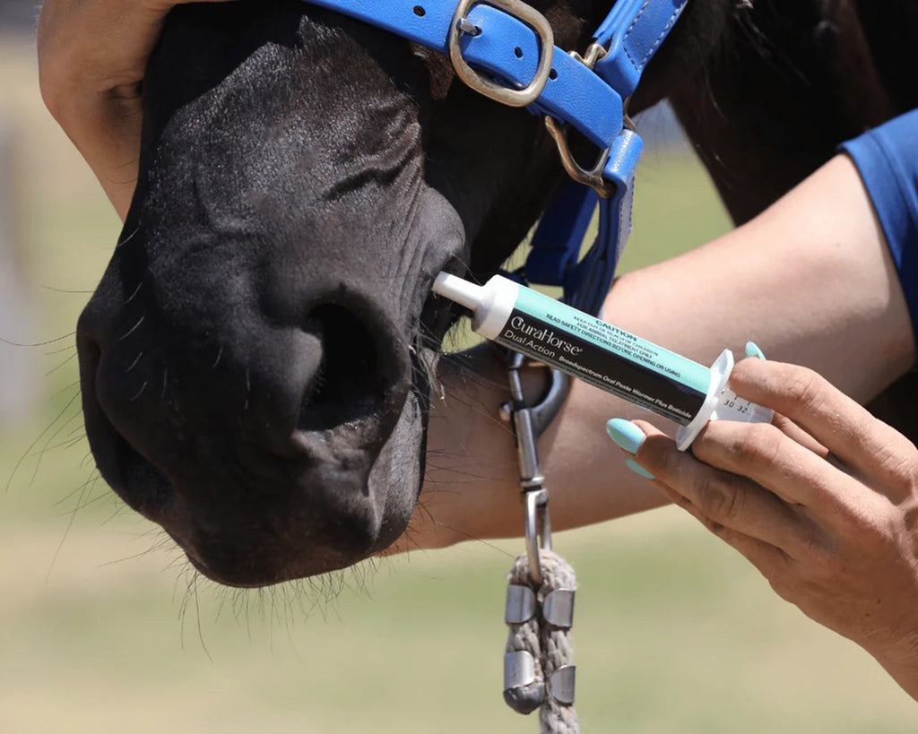 CuraHorse Dual Action Oral Paste Wormer