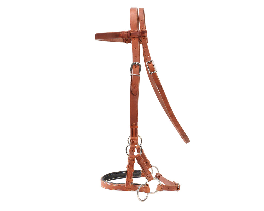 Fort Worth Guy McLean Padded Leather Nose Sidepull - Harness