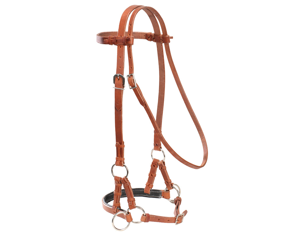Fort Worth Guy McLean Padded Leather Nose Sidepull - Harness