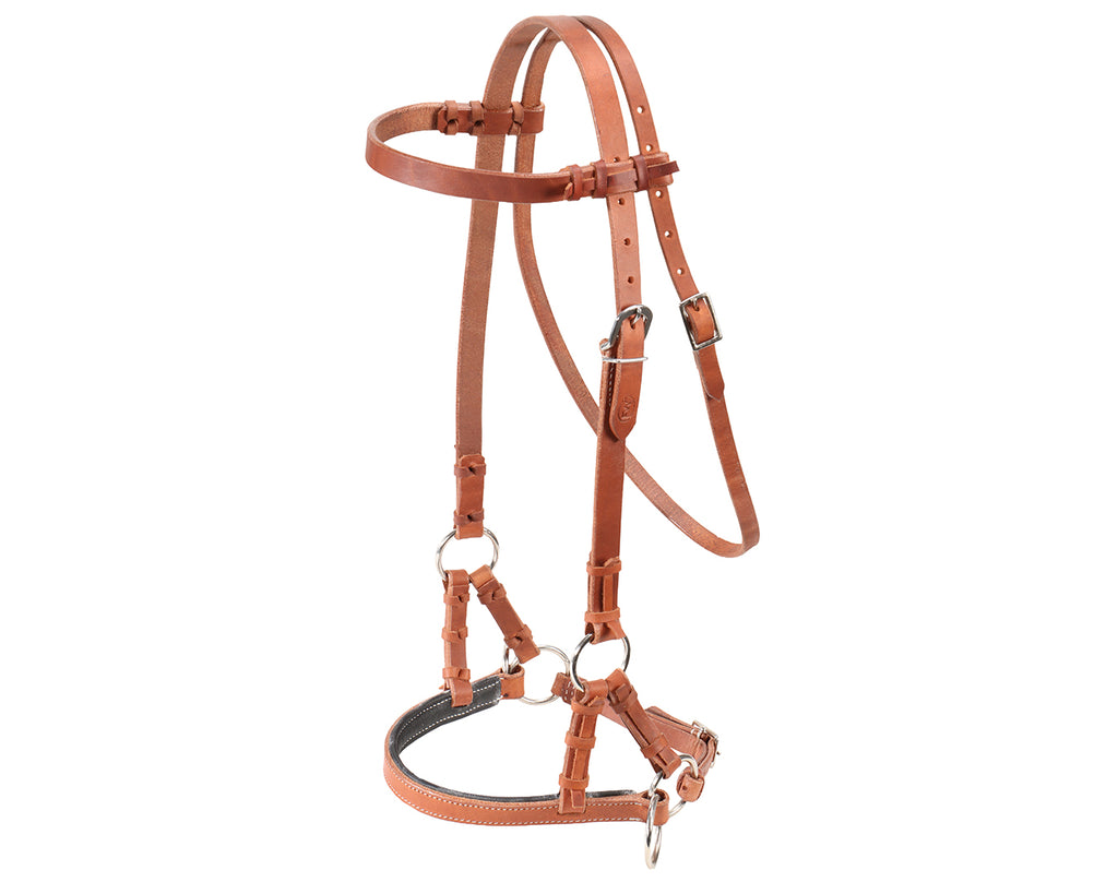 Fort Worth Guy McLean Padded Leather Nose Sidepull - Harness