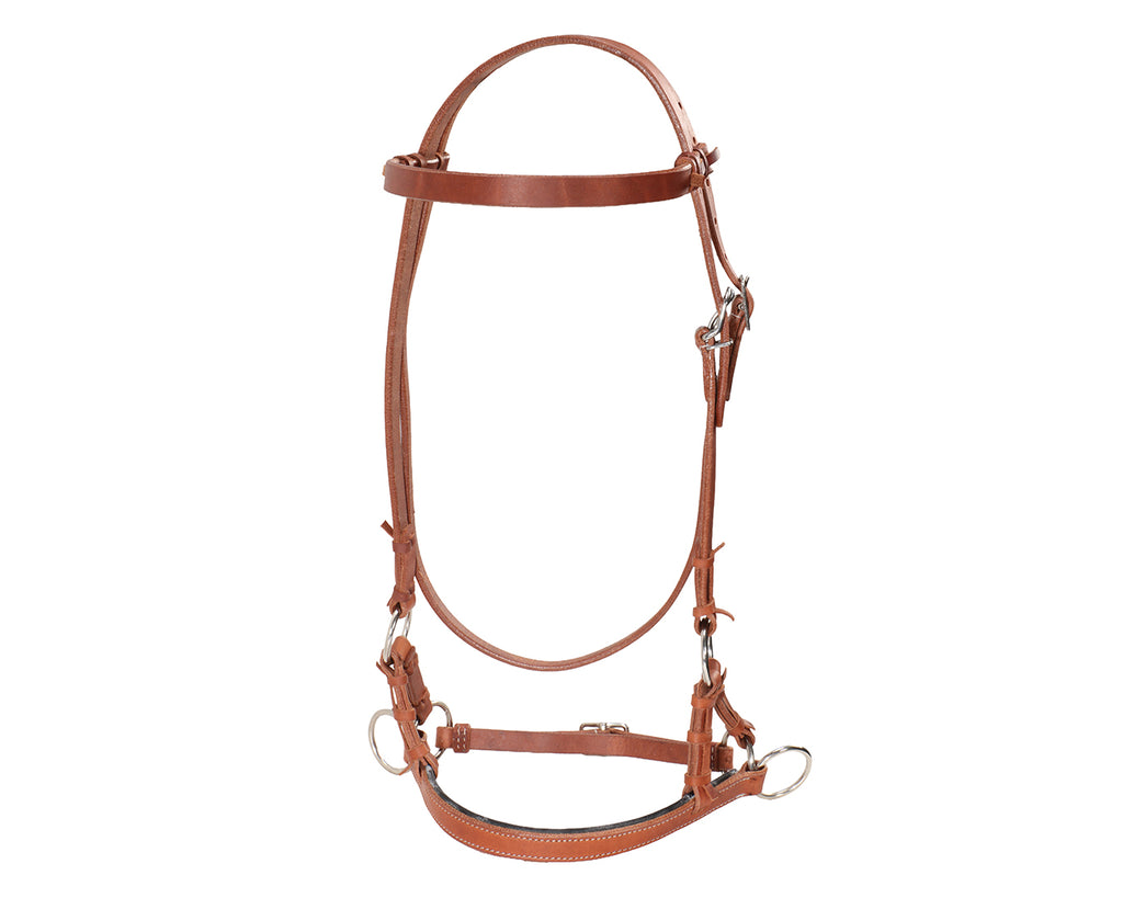 Fort Worth Guy McLean Padded Leather Nose Sidepull - Harness