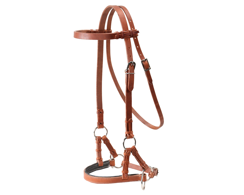 Fort Worth Guy McLean Padded Leather Nose Sidepull - Harness