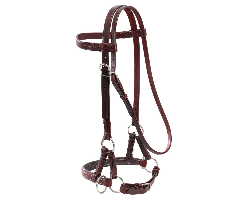 Fort Worth Padded Leather Nose Sidepull - Latigo