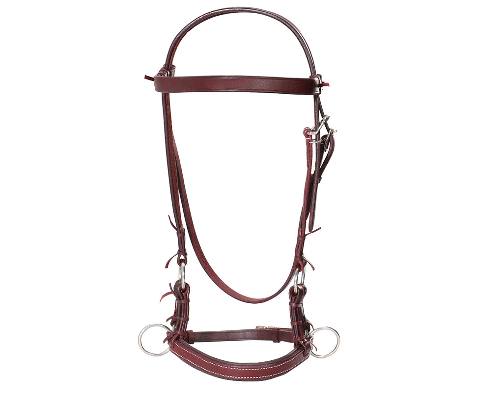 Fort Worth Padded Leather Nose Sidepull - Latigo