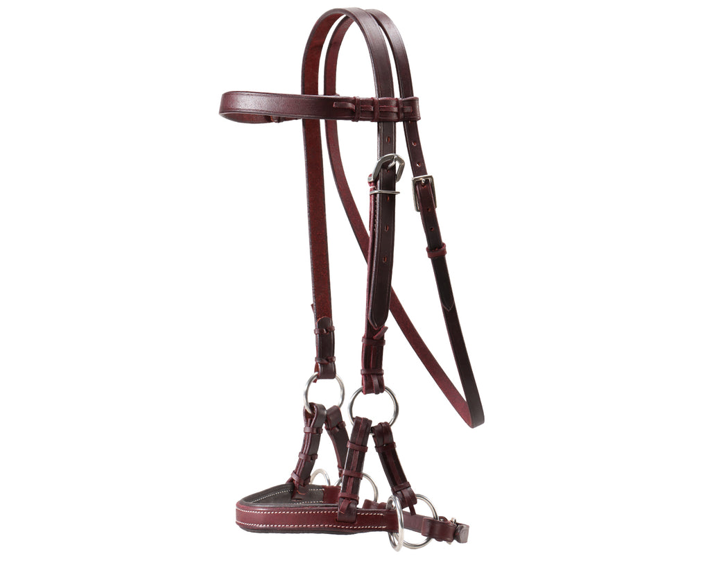 Fort Worth Padded Leather Nose Sidepull - Latigo
