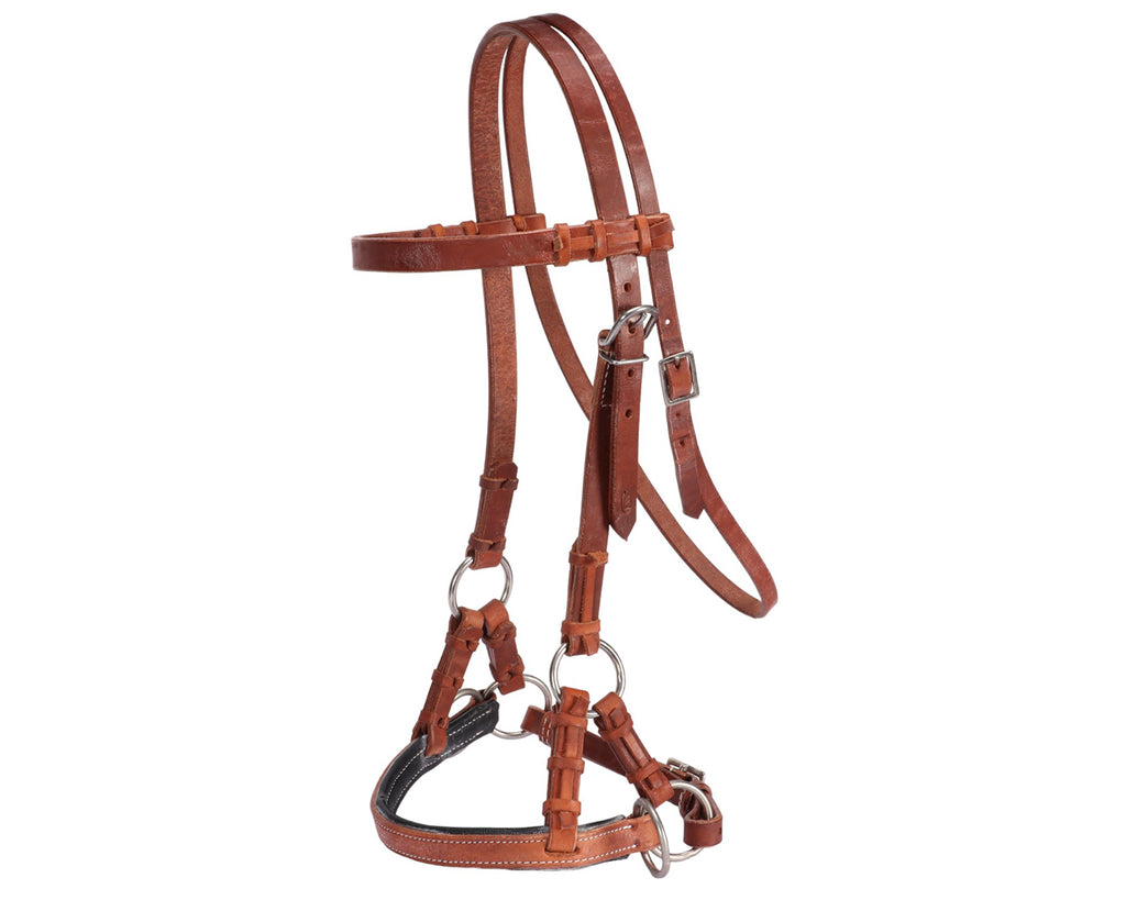  Fort Worth Guy McLean Padded Leather Nose Sidepull. Premium American Leather sidepull bridle with padded noseband and stainless steel hardware.