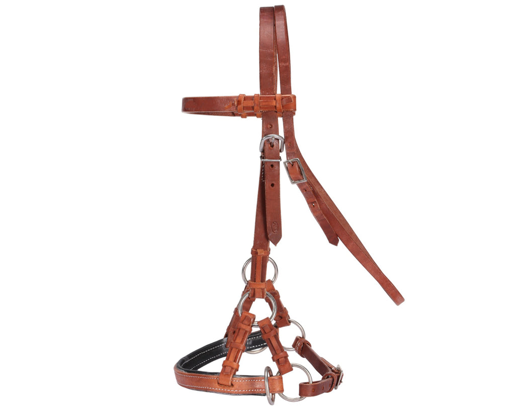  Fort Worth Guy McLean Padded Leather Nose Sidepull. Premium American Leather sidepull bridle with padded noseband and stainless steel hardware.