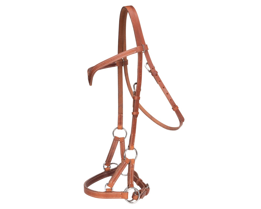 Fort Worth Seattle Side Pull Headstall Harness: Premium-quality side pull made with American Leather. Shop now at Greg Grant Saddlery.
